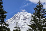 Mount Rainier, WA